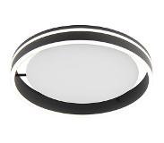 Paul Neuhaus Plafondlamp Q-Vito 40cm Antraciet Smart Home
