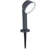 Lutec Dakota - ground spot op piek - 45 x 12 x 8,9 cm - 12W slimme LED incl. - Tuya - IP54 - donkergrijs