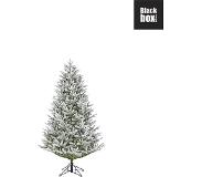 Black Box Trees - Frasier kerstboom groen frosted TIPS 1189 - h155xd109cm- Kerstbomen