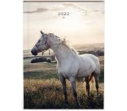 Lannoo My favourite friends paard zakagenda 2022 - A6 formaat zakagenda - binnenzijde 7 dagen 2 pagina planner - (11x15cm) met paarden, wit design