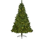 Everlands Imperial Pine Kunstkerstboom - 150 cm hoog - Met verlichting met