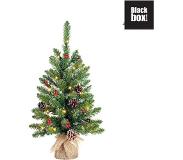 Black Box Trees - Creston kerstboom led werk op batterijen groen met burlap 20L TIPS 58 - h60xd41cm- Kerstbomen