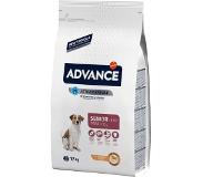 Advance 1,5 kg Advance mini senior hondenvoer