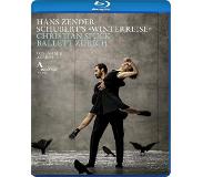 OUTHERE Ballett Zürich, Philharmonia Zürich - Schuberts ,Winterreise" (Blu-ray)