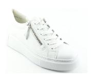 Paul green 5126.001