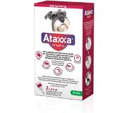 Krka ataxxa spot on hond 10-25 kg 1250 mg/250 mg 3p