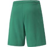 Puma teamRISE short groen
