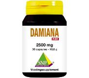 Snp Damiana Extract 2500 Mg Puur 30ca