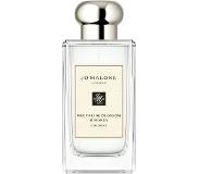 Jo Malone Nectarine Blossom & Honey Cologne (100ml)