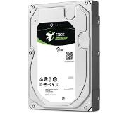 Seagate EXOS 6TB
