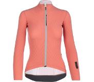 Q36.5 L1 Pinstripe X Short Sleeve Jersey Oranje M Vrouw