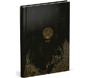 Lannoo Midnight Gold bureau agenda 2023 - Lannoo - verborgen ringband - 1 week per 2 pagina's - 12 x 16 cm - schelp