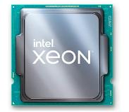Intel Xeon E-2324G 3.1 GHz (LGA 1200, 3.10 GHz, 4 -Core)