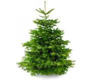 Nordmann | Kerstboom Nordmann groen 180x100x180 cm kerstbomen | NADUVI