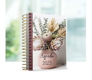 MajesticAlly vrouwenagenda 2023