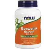 Now Foods Boswellia Extract 250mg 120v-caps