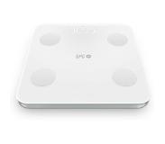 SPC Atenea Fit 3 Scale Transparant