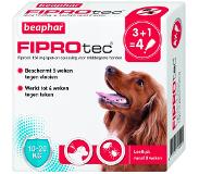 Beaphar FiproTec dog 10-20kg (NL) 4 Pipetten x 1,34 ml (APO)