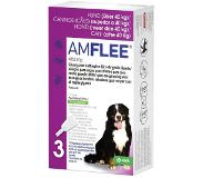Krka amflee spot on hond (402 MG 3 PIP)