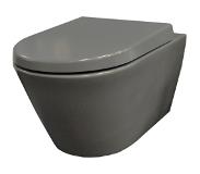 Mueller Filo randloos toilet met softclose zitting mat grijs