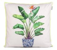 HF Living Kussenhoes Strelitzia | HF Living katoen multicolour 50x50 cm kussenhoezen | NADUVI