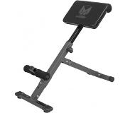 Gorilla Sports Gyronetics Hyperextensie Bank - Rugtrainer - Belastbaar tot 120 kg