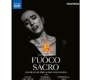 OUTHERE Barbara Hannigan, Asmik Grigorian - Fuoco Sacro, A Search For The Sacred Fire Of Song (Blu-ray)