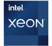 Intel Xeon E-2336 2,9GHz LGA 1200 12M cache laden CPU (LGA 1200, 2.90 GHz, 6 -Core)