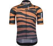 Q36.5 R2 Tijger Oranje shirt met korte mouwen
