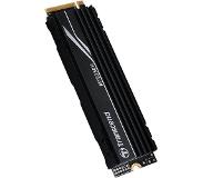 Transcend MTE250H