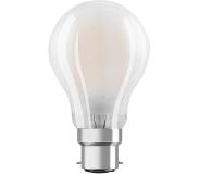 Osram Classic LED B22d Peer Filament Mat 11W 1521lm - 865 Daglicht | Dimbaar - Vervangt 100W