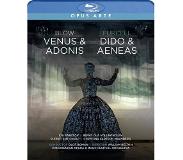 Pias Confidencen Opera & Music Festival - Venus & Adonis / Dido & Aeneas (Blu-ray)