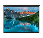 vidaXL Projectiescherm 1:1 50''