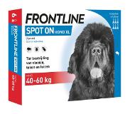 Frontline NL-Frontline Spot-on hond XL / 40 - 60 kg 3 x 6 pipetten