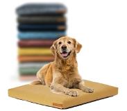 Rexproduct Hondenkussen - Hondenmand - Hondenbed met rits en wasbaar - Hondenkussens 60 X 70 CM - Manden & kussens 0 tot 80 kg - SoftPet Geel