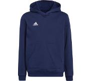 Adidas Sweater voor kids maat 128