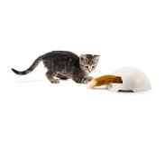 Frolicat Fox