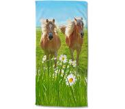 Good Morning Strandlaken Good Morning Horses Multi