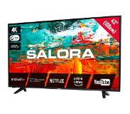 Salora 43BXX9000 - 43 inch - LED TV