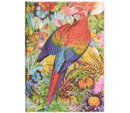 Paperblanks Tropical Garden (Nature Montages) Midi 18-month Dayplanner 2024