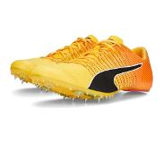 Puma evoSPEED TOKYO FUTURE 4
