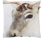 Dutch decor Kussenhoes Moose 45x45 Cm Zand online kopen