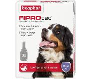 Beaphar FiproTec Spot-On Hond 20 - 40 kg - 3 + 1 pipetten