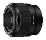 Sony FE 50mm f/1.8