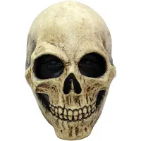 Vegaoo Halloween Doodskop masker voor volwassenen - Verkleedmasker - One size
