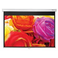 Optoma DS-1123PMG+ (16:10) 275 x 200