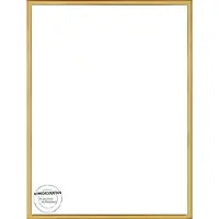 Homedecoration Almelo – Fotolijst – Fotomaat – 33 x 69 cm – Vintage Goud