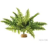 Exo Terra Rainforest Plant Boston Fern - Kunstplanten
