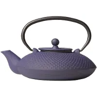 COSY&TRENDY NARA THEEPOT BLAUW GIETIJZER 800ML METFILTER TSP69