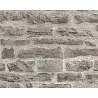 AS-Creation Vliesbehang 31944-1 Best of Wood'n Stone 2 steenoptiek bruin/beige